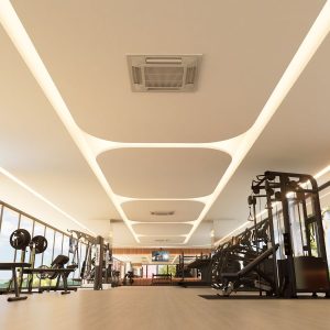 academia2