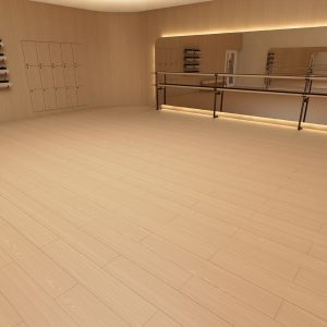 centro olimpico - ballet 2